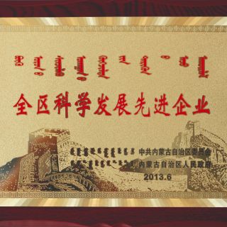 全區科學發展先進企業